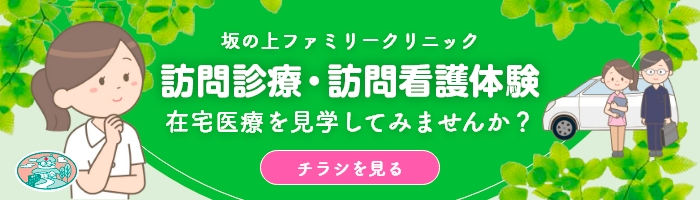 訪問診療・訪問看護体験チラシ